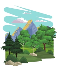 Nature
