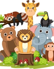 animals